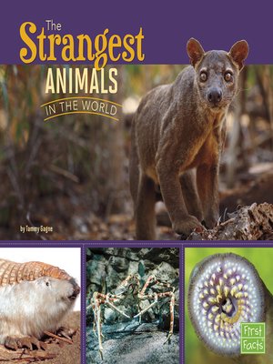cover image of The Strangest Animals in the World
